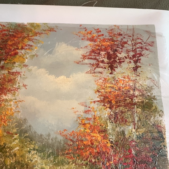 Fall landscape oil painting.  Approx 20” x 23 3/4. Canvas approx 23 1/2” x 27 - Picture 3 of 5